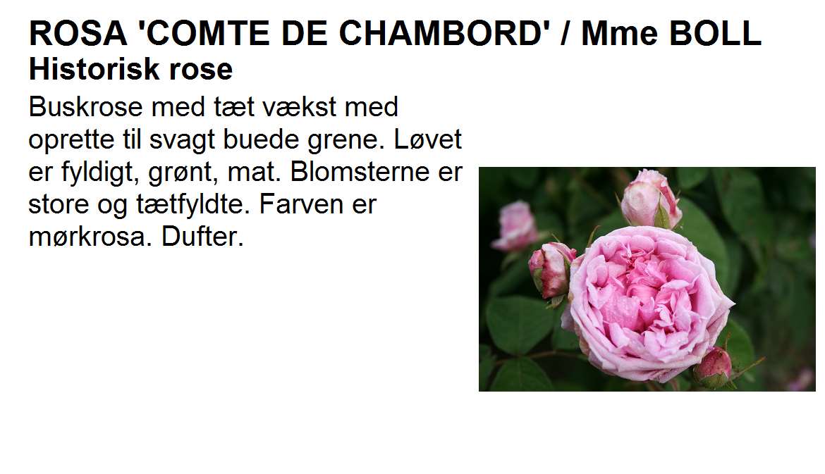 Comte de Chambord
