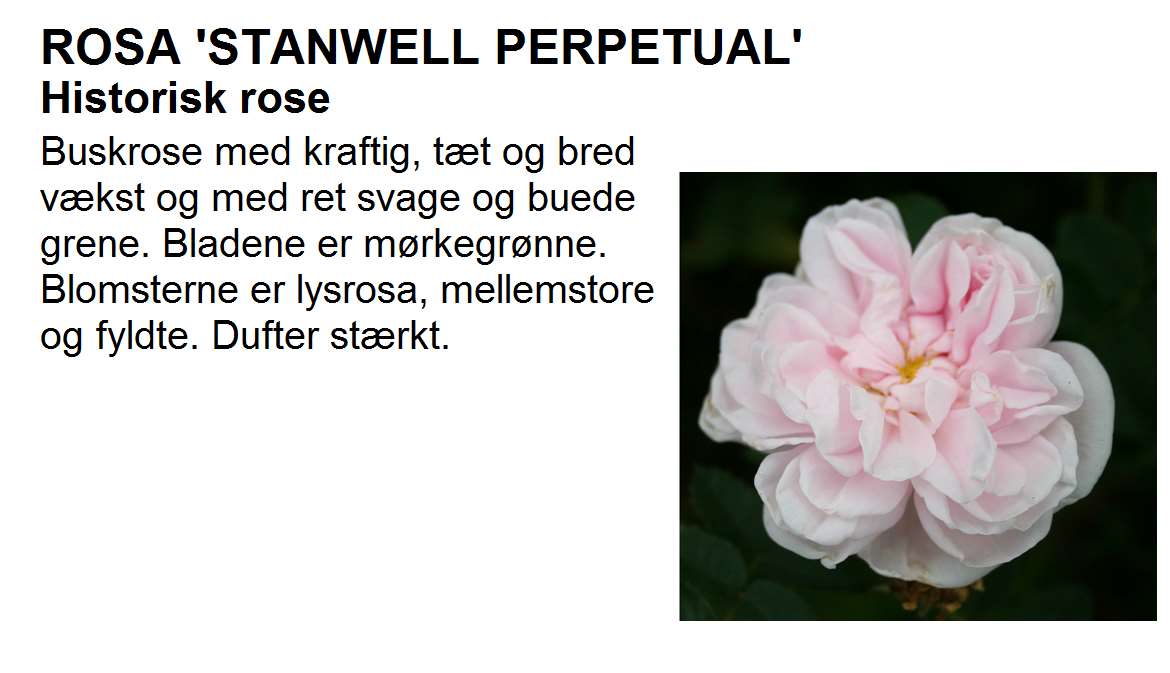 Stanwell Perpetual