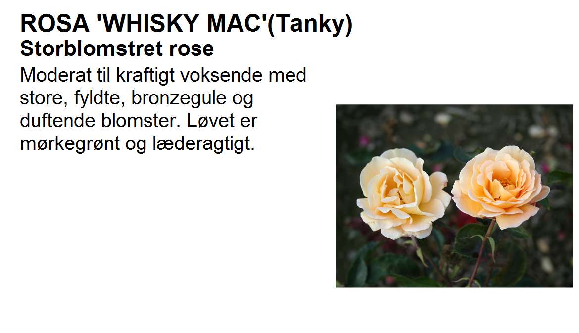 Whisky Mac